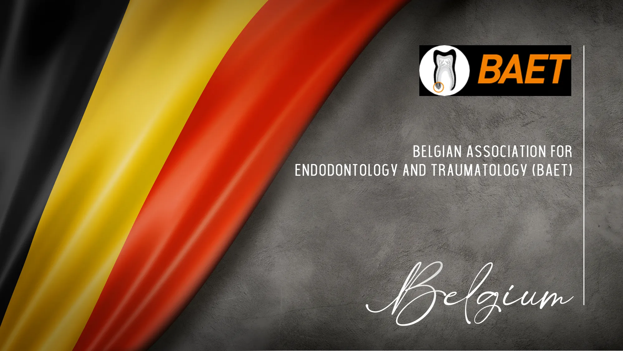 Member Association: belgium