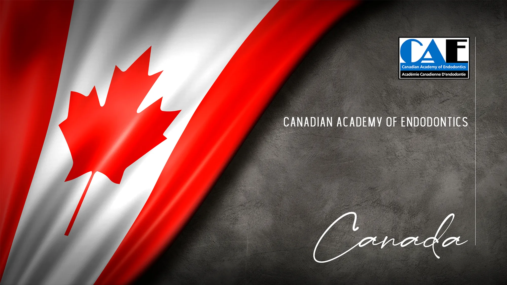 Member Association: canada
