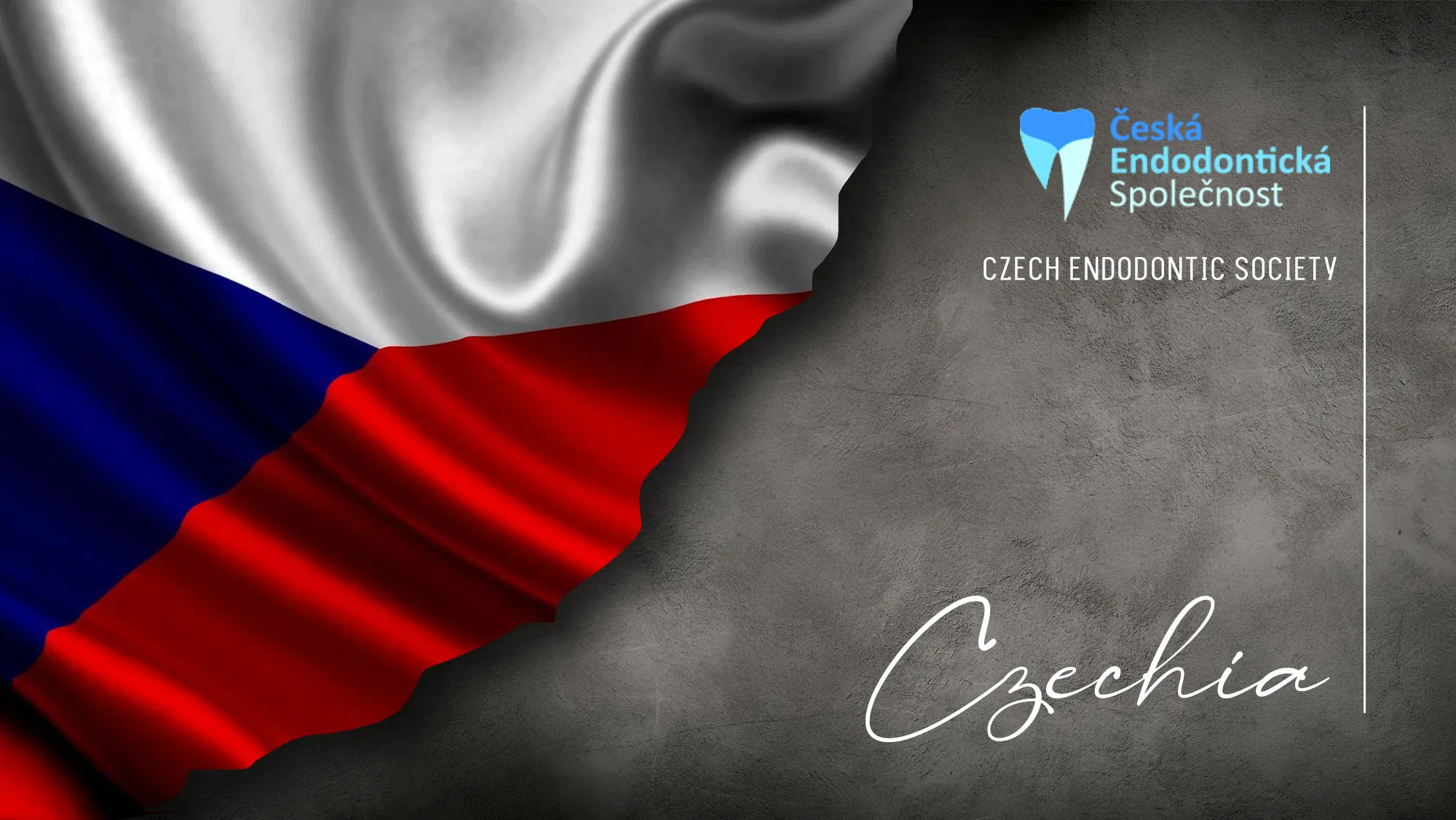 Member Association: czechia
