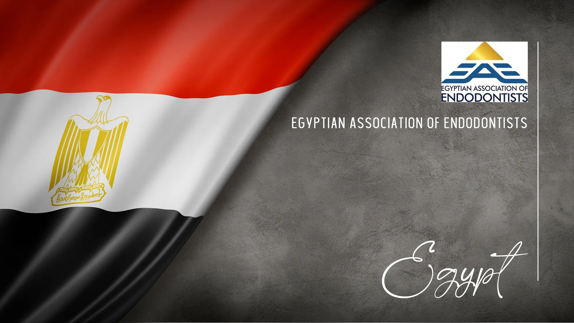 Member Association: egypt