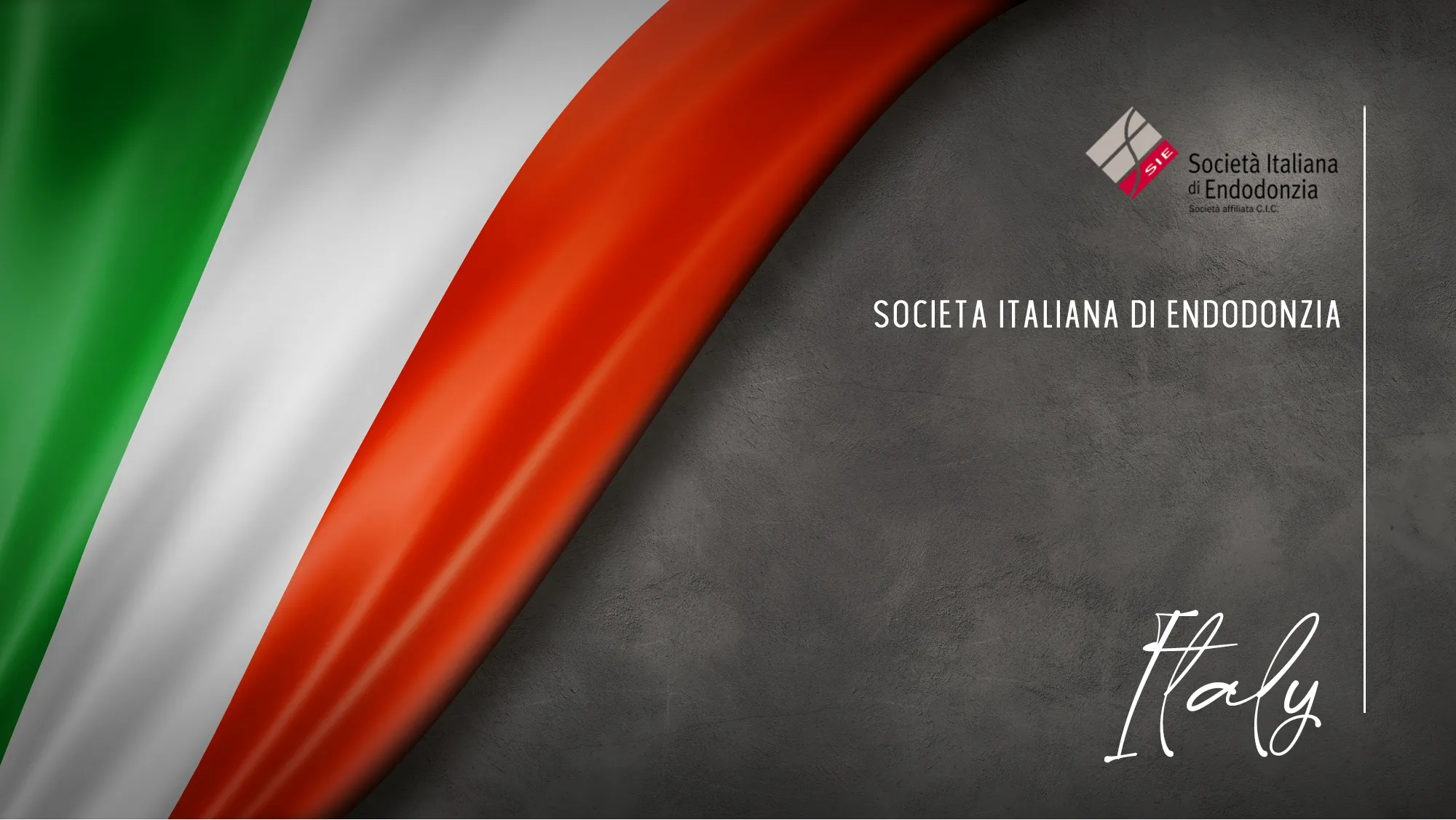 Member Association: italy
