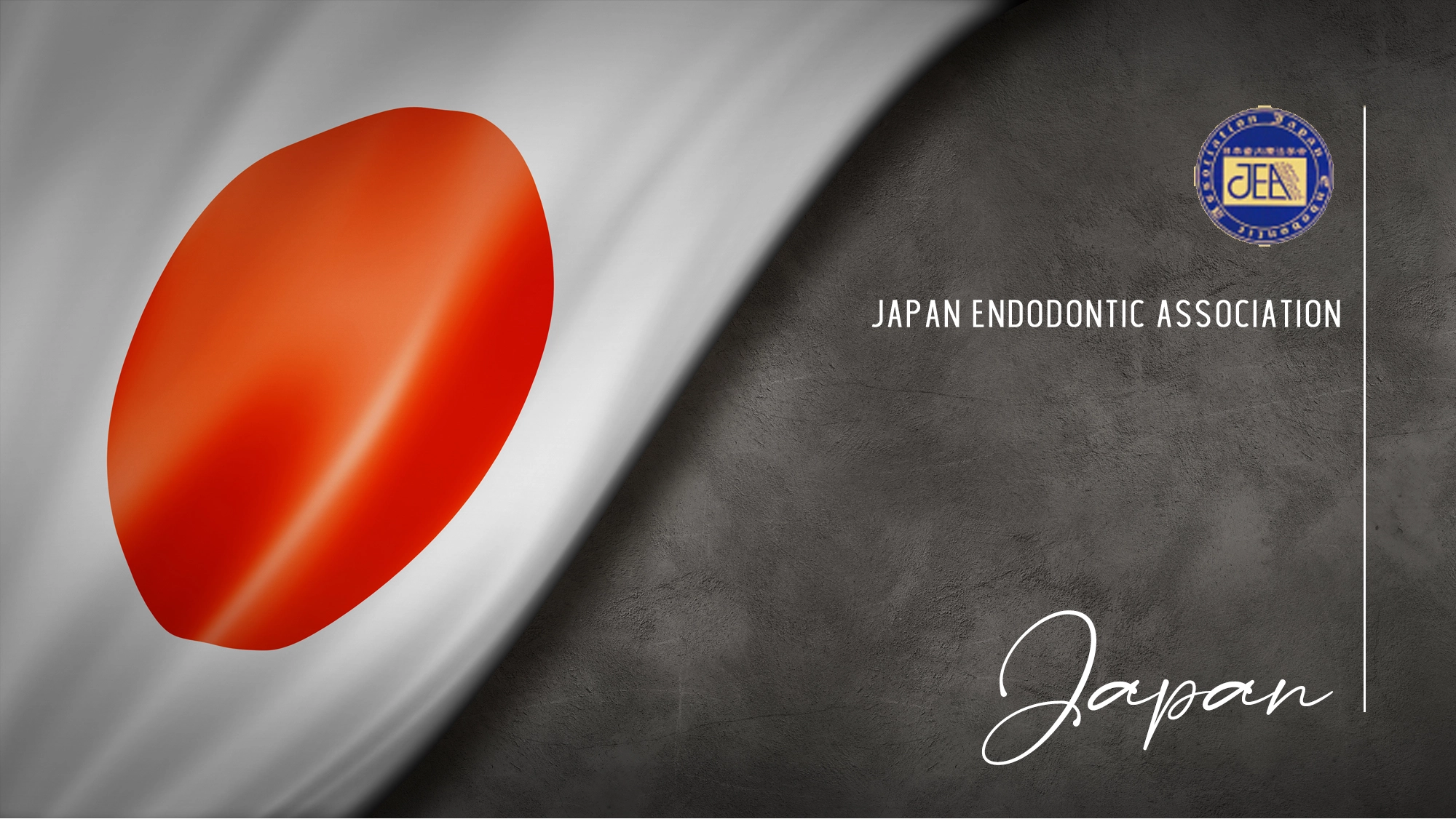 Member Association: japan