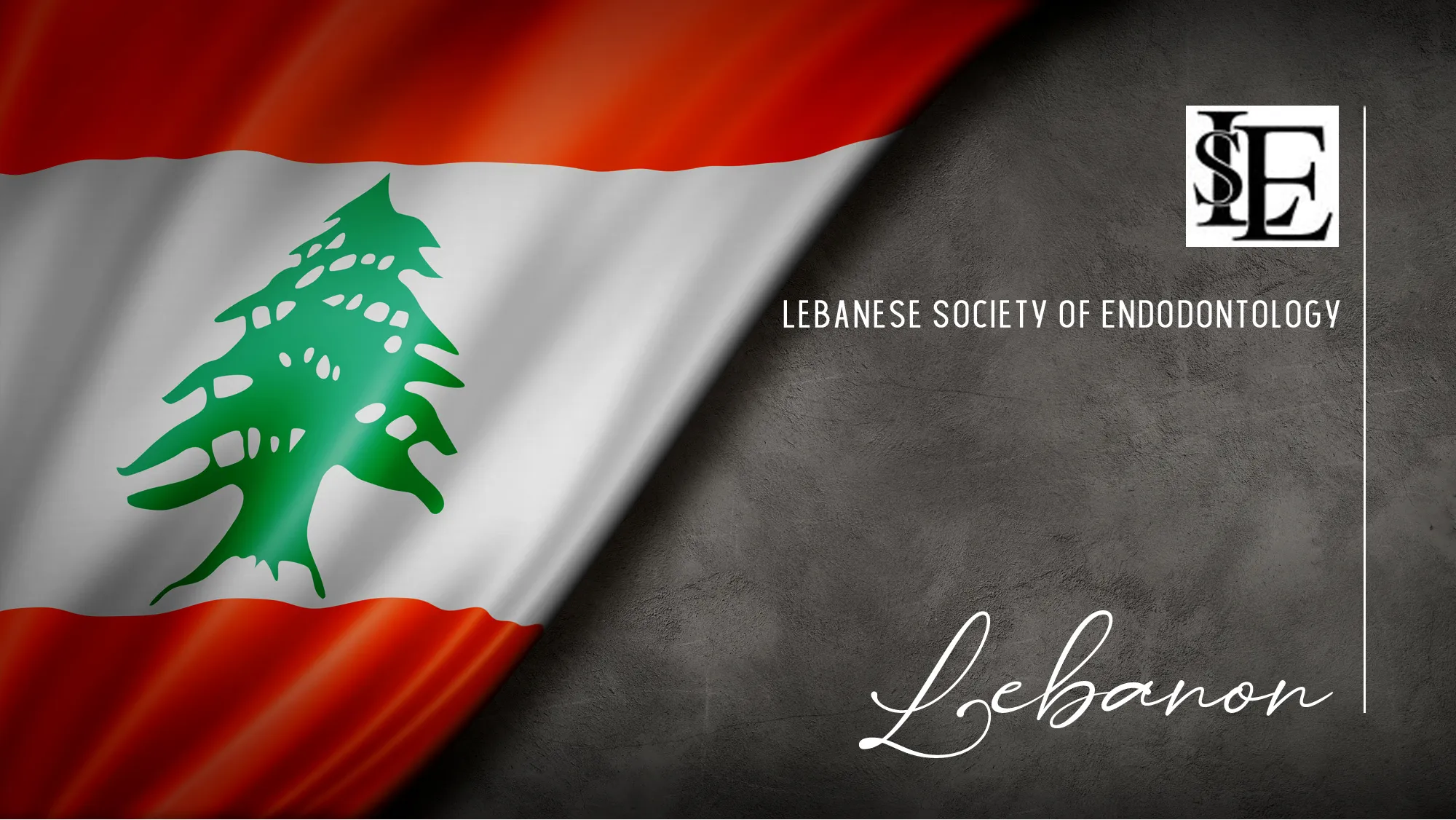 Member Association: lebanon