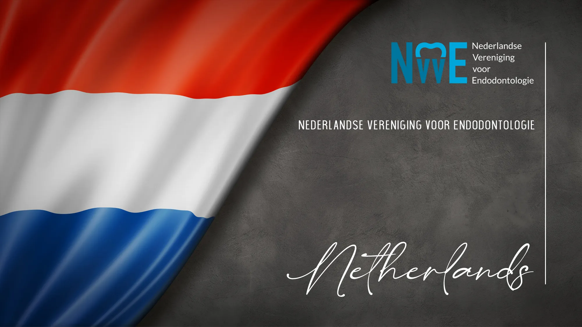 Member Association: netherlands