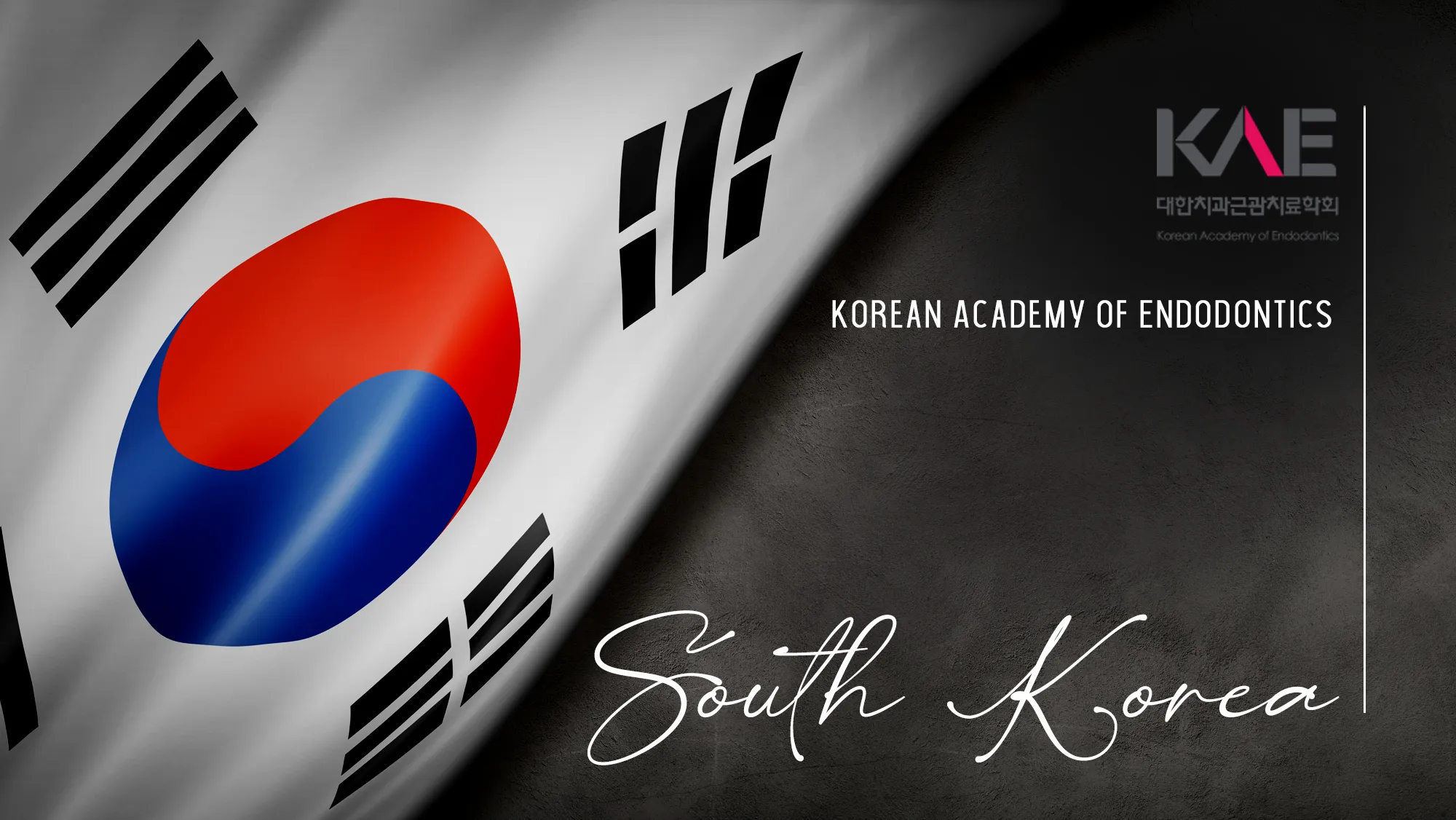 Member Association: south-korea