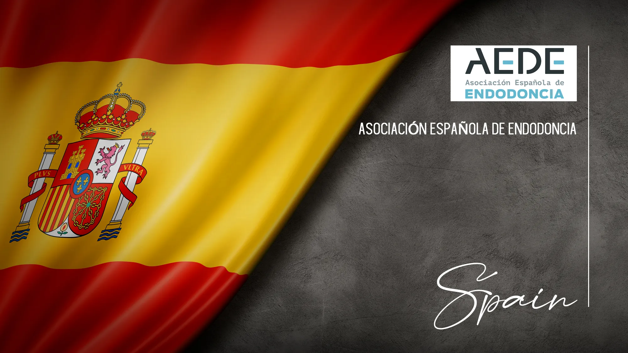 Member Association: spain