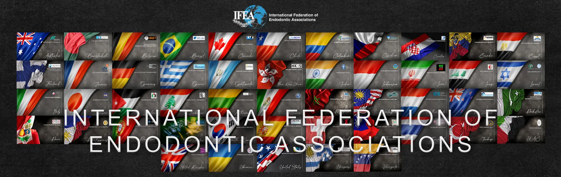 15TH IFEA WORLD ENDODONTIC CONGRESS