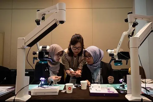 Hands on Courses
