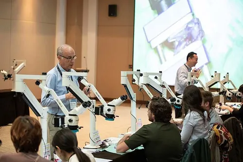 Hands on Courses