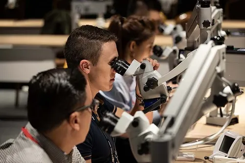 Hands on Courses