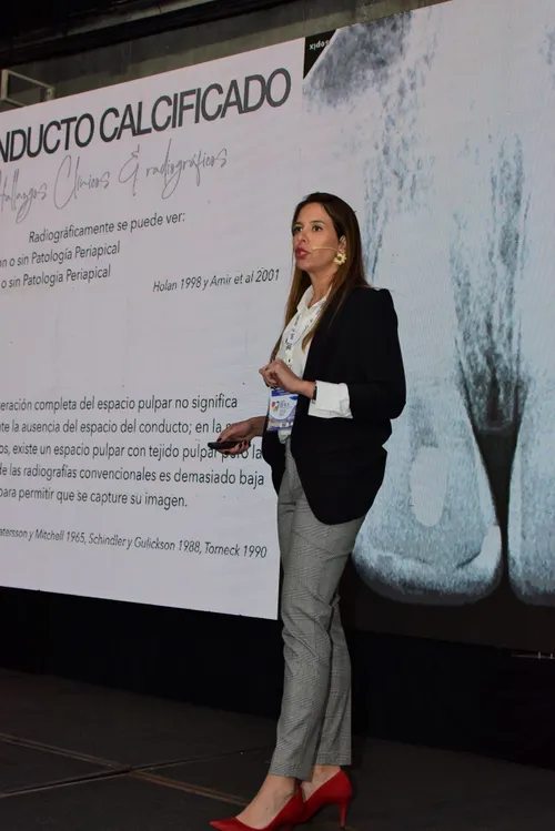 IFEA Chile World Endo Congress