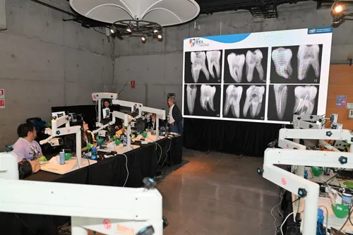 IFEA Chile World Endo Congress