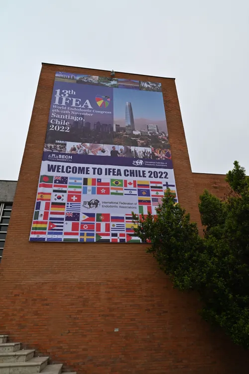 IFEA Chile World Endo Congress